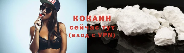 ГАЛЛЮЦИНОГЕННЫЕ ГРИБЫ Кропоткин
